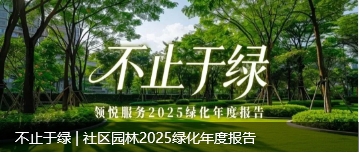 ΢�Ž�ͼ_20251231171330